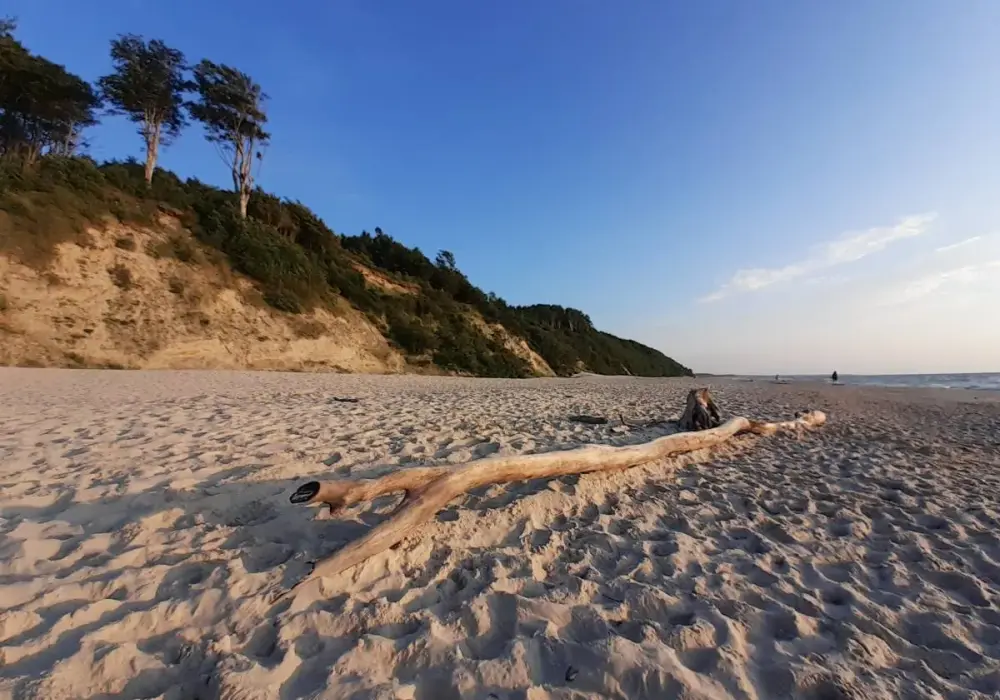 Dębina - atrakcje, plaża i co warto zobaczyć?