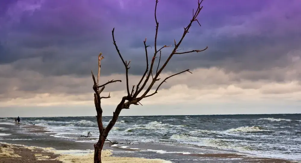 Czym różni się morze od oceanu? Bałtyk i ważne wyjątki