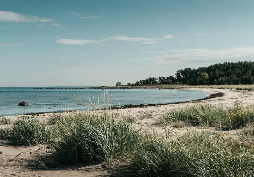 Gdańsk nad morzem - Która plaża pasuje do Twojego planu dnia?