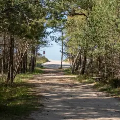 Piękna jastrzębia góra trasa przez las sosnowy prowadzi do plaży. W oddali widać morze.