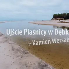 Ujście Piaśnicy w Dębkach, gdzie rzeka wpada do morza. Piękna plaża i las sosnowy w tle.