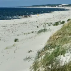 Piaski miejscowość: szeroka, piaszczysta plaża z wydmami porośniętymi trawą, morze i linia lasu w oddali.