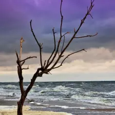 Mroczne chmury nad wzburzonym morzem, gdzie fale rozbijają się o brzeg. Czy to ocean? Zastanawiamy się, czym się różni morze od oceanu.