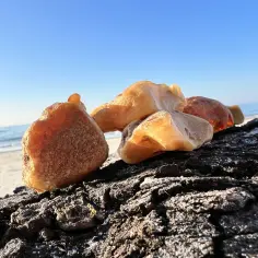 Klejnoty Bałtyku, jak rozpoznać bursztyn? Kilka kawałków bursztynu na ciemnym, chropowatym drewnie, na tle plaży i morza.