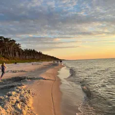 Zachód słońca nad morzem, piaszczysta plaża z sosnowym lasem w tle. Idealne miejsce na kwatery blisko morza.