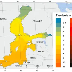 Mapa zasolenia Bałtyku. Najwyższe stężenie jodu w Polsce obserwuje się na zachodzie, w pobliżu Danii i Niemiec.