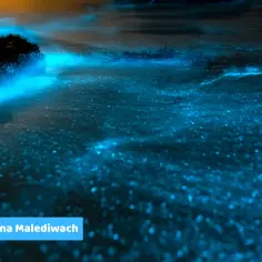 Morze gwiazd gdzie jest: Najlepsze miejsca na Malediwach do zobaczenia