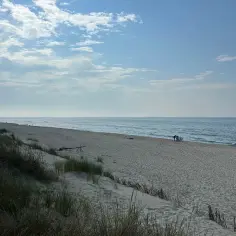 Szerokie, piaszczyste plaże Krynica Morska kuszą spokojem. W oddali widać kilka osób odpoczywających nad morzem.