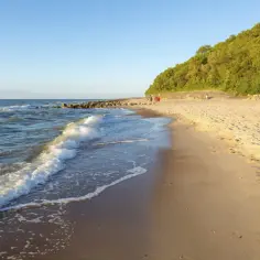 Piękna plaża w Niechorzu, idealna pogoda dla plażowiczów. Fale delikatnie obmywają piaszczysty brzeg, a zielony las wznosi się nad wydmami.