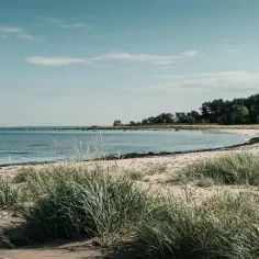 Spokojna plaża w Gdańsku, z piaszczystym brzegiem, trawami i spokojnym morzem.