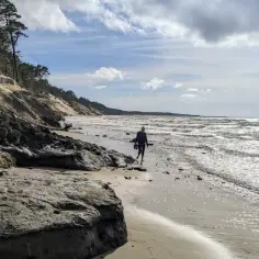 Spacerem po plaży, wiatr faluje morze. Widok na klif i las, jakby orzechowo nad morzem.