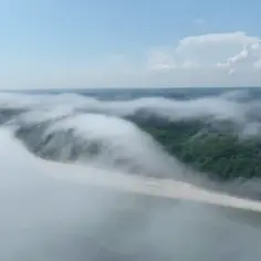 Mgła nad morzem otula piaszczystą plażę i zielony las. Widok z lotu ptaka tworzy tajemniczą, eteryczną atmosferę.
