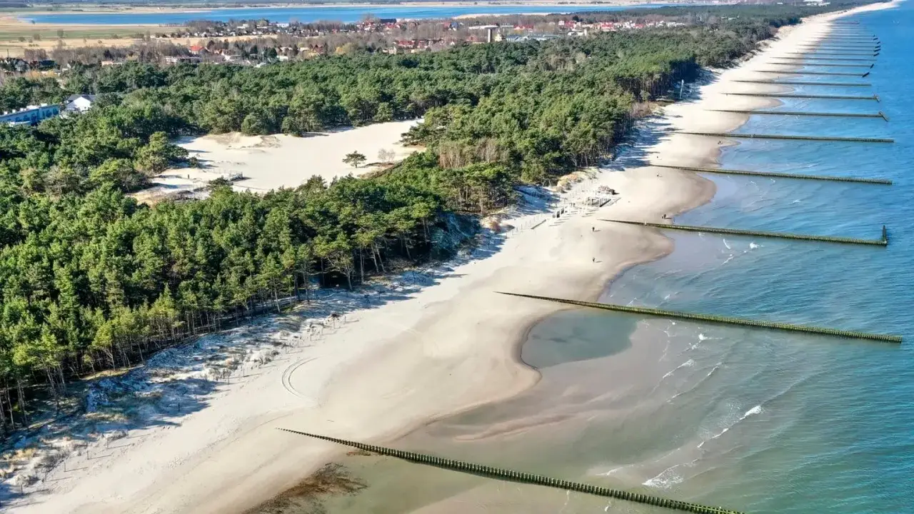 Piękna plaża w Rogowie z sosnowym lasem i falochronami wchodzącymi w morze.