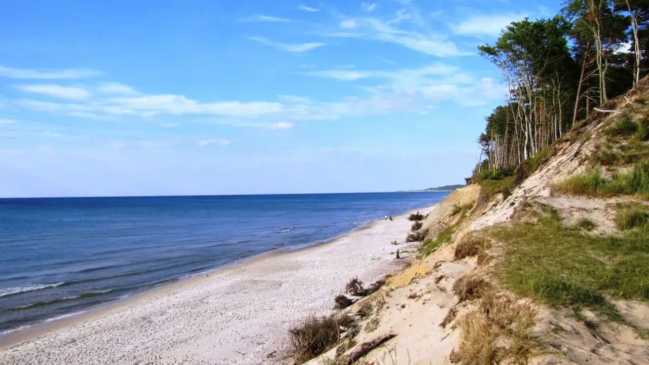 Piękna plaża z klifem porośniętym sosnami, idealne miejsce na spacer orzechowo nad morzem.