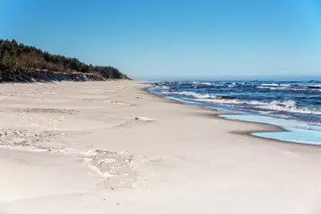 Pusta, piaszczysta plaża z lasem sosnowym w tle i falującym morzem. Idealne miejsce na sprawdzenie najbardziej wiarygodnej pogody nad morzem.