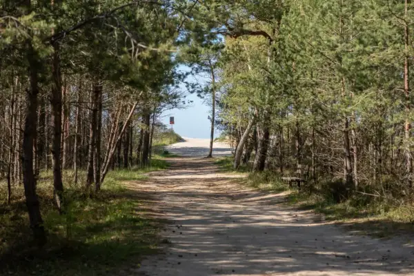Jastrzębia Góra - Dojazd bez stresu i korków