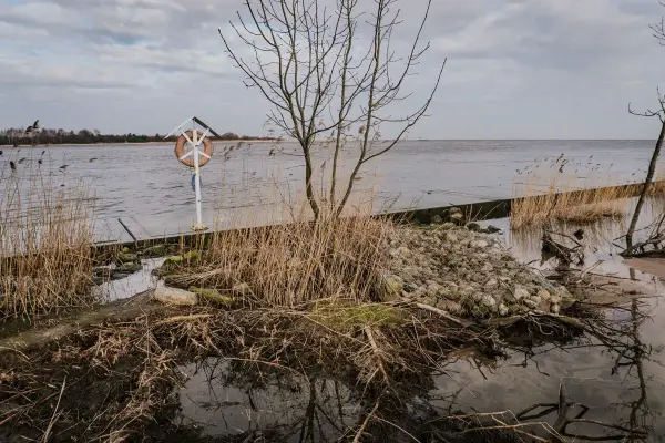 Gdzie Wisła spotyka Bałtyk? Przewodnik po ujściu