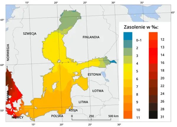 Mapa jodu nad Bałtykiem - Gdzie i kiedy jest go najwięcej?