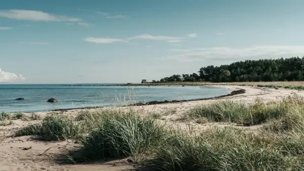Gdańsk nad morzem - Która plaża pasuje do Twojego planu dnia?